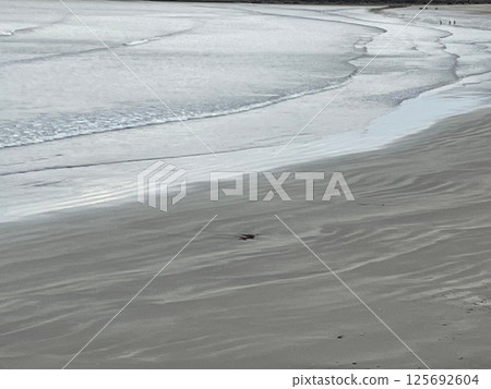 Sandy beach at dawn 125692604