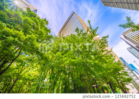 日本東京城市景觀。大手町森林和大手町塔的景色。最右邊可以看到日本橋重建工程。 日本東京城市景觀。大手町森林和大手町塔的景色。最右邊可以看到日本橋重建工程。 125692752