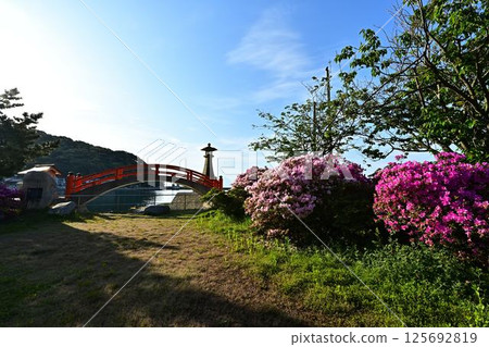 Red Bridge and Azaleas 125692819