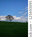 One tree standing on the prairie 125693095
