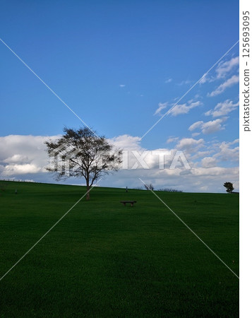 One tree standing on the prairie 125693095
