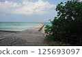 Road to the sea 125693097