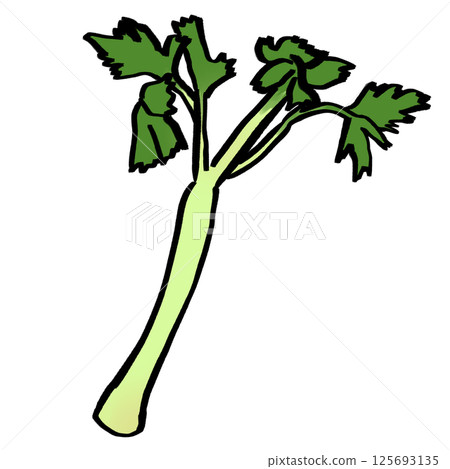 芹菜插圖素材 芹菜插圖素材 125693135