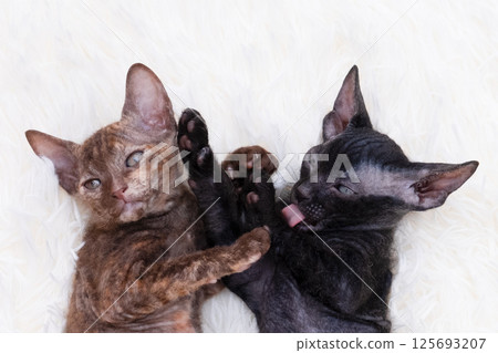 Generated image 125693207