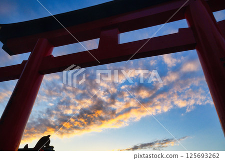Kyoto Fushimi Inari Taisha Shrine: Beautiful sunset, torii gates and lion foxes (Fushimi Ward, Kyoto City, Kyoto Prefecture) 125693262