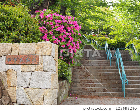 卡羽山公園(橫濱市西區) 卡羽山公園(橫濱市西區) 125693280