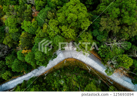 Aerial view Tropical Rainforest trees mountains,Top view green forest background 125693894