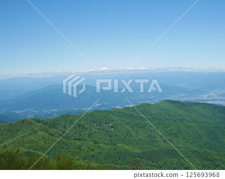 A photo of the swamp taken from the mountain 125693968