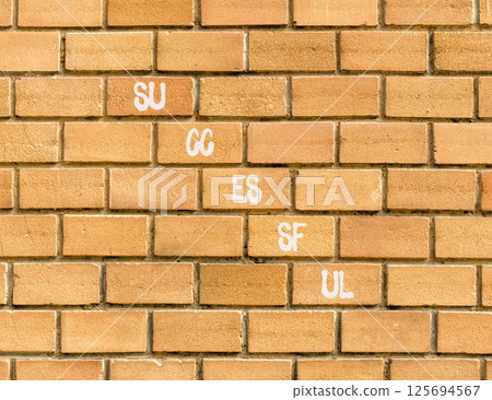 Successful symbol. Concept word Successful on beautiful brown bricks. Beautiful brown brick wall background. Business successful concept. Copy space. 125694567