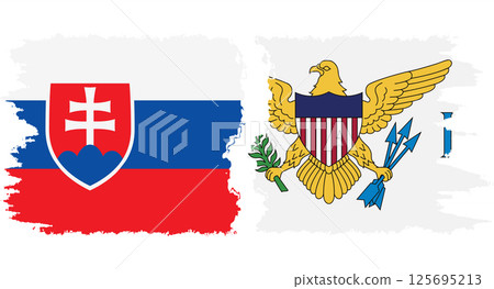 United States Virgin Islands and Slovakia grunge flags connection vector 125695213