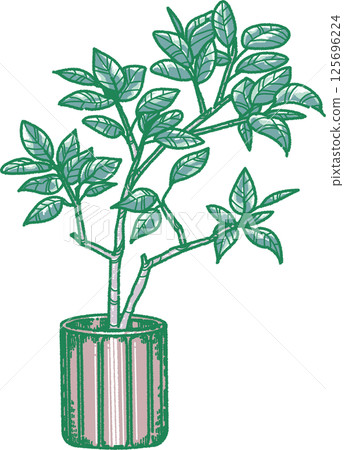 葉子植物的例證 125696224