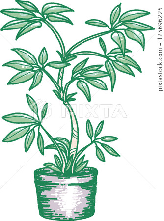 葉子植物的例證 125696225