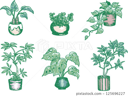 例證套葉子植物 125696227