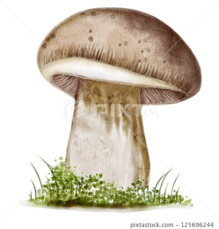 Autumn watercolor mushroom surrounded by lush green grass design for textiles and wrapping 125696244