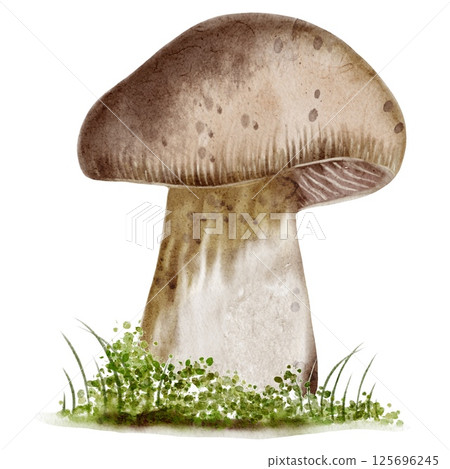 Watercolor autumn mushroom on green grass with soft earthy tones in seamless textile design 125696245