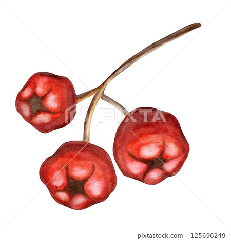 Beautiful autumn watercolor pattern featuring red berries and natural elements for textile design 125696249