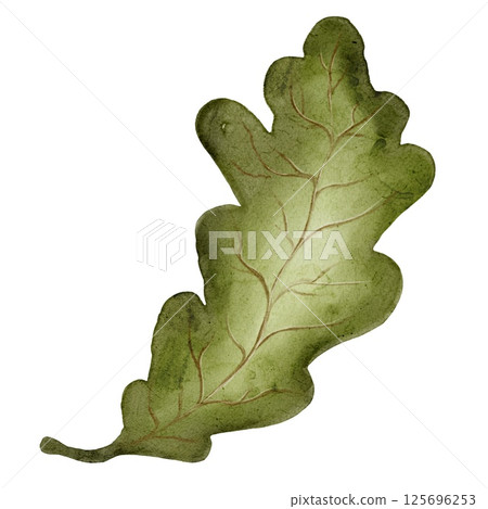 Vibrant watercolor oak leaf design in autumn colors suitable for fabric and packaging Vibrant watercolor oak leaf design in autumn colors suitable for fabric and packaging 125696253