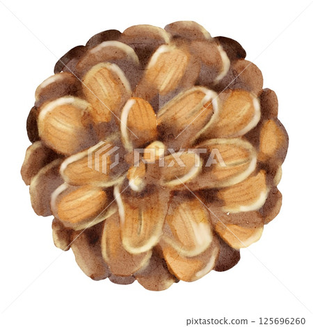 Beautiful watercolor pine cone pattern ideal for autumn textile design and print projects Beautiful watercolor pine cone pattern ideal for autumn textile design and print projects 125696260