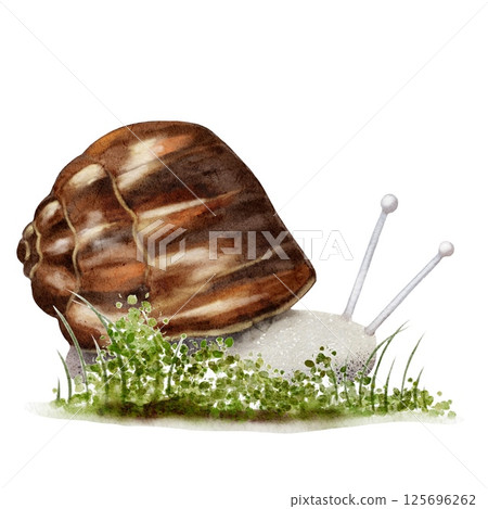 Colorful autumn watercolor snail design in seamless pattern for textile and wallpaper Colorful autumn watercolor snail design in seamless pattern for textile and wallpaper 125696262