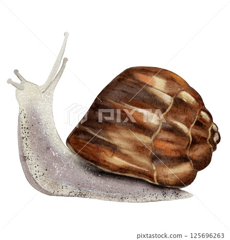 Colorful autumn watercolor pattern featuring a snail with a intricately detailed shell 125696263