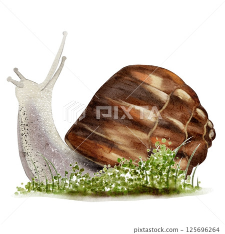 Watercolor autumn design featuring a snail in a natural setting with rich colors and textures Watercolor autumn design featuring a snail in a natural setting with rich colors and textures 125696264