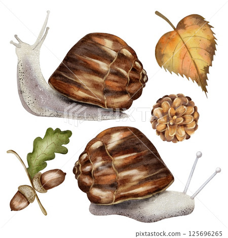 Snails and autumn leaves in a watercolor design for textile and wallpaper patterns Snails and autumn leaves in a watercolor design for textile and wallpaper patterns 125696265
