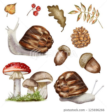 Watercolor autumn pattern featuring snails, mushrooms, and leaves for textile design Watercolor autumn pattern featuring snails, mushrooms, and leaves for textile design 125696266