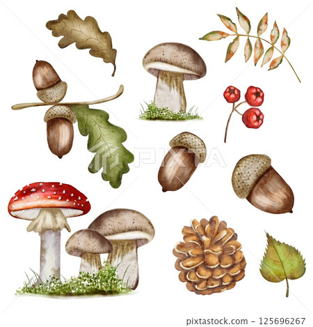 Celebrate autumn with a vibrant watercolor pattern of mushrooms, acorns, leaves, and pine cones 125696267