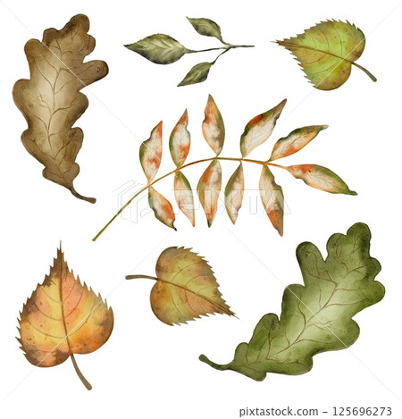 Colorful autumn leaves in watercolor pattern perfect for textile and wrapping design Colorful autumn leaves in watercolor pattern perfect for textile and wrapping design 125696273