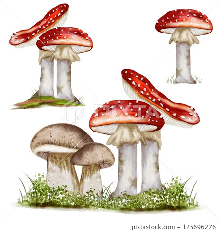 Vibrant autumn watercolor mushrooms in seamless textile pattern design for packaging and wrapping Vibrant autumn watercolor mushrooms in seamless textile pattern design for packaging and wrapping 125696276