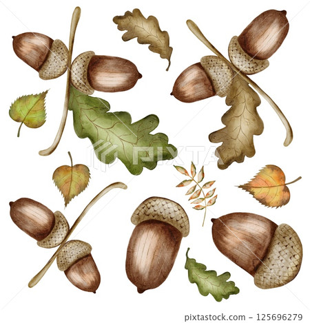 Autumn watercolor pattern with acorns and leaves, perfect for textile design 125696279