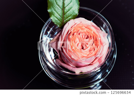 Beautiful Japanese cherry blossoms and vibrant roses 125696634