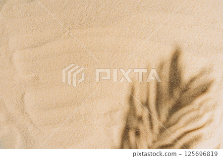 summer background of beach sand with shadows palm leaves summer background of beach sand with shadows palm leaves 125696819