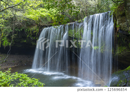 新鮮的綠色Nabe瀑布水幕 125696854