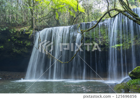 新鮮的綠色Nabe瀑布水幕 125696856