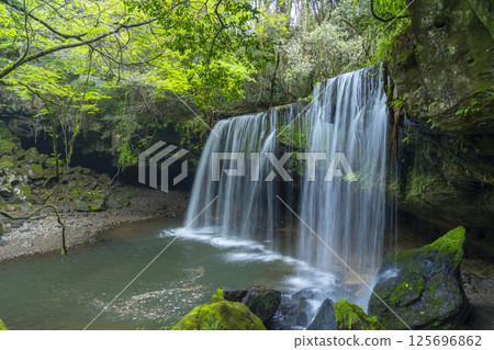 新鮮的綠色Nabe瀑布水幕 125696862