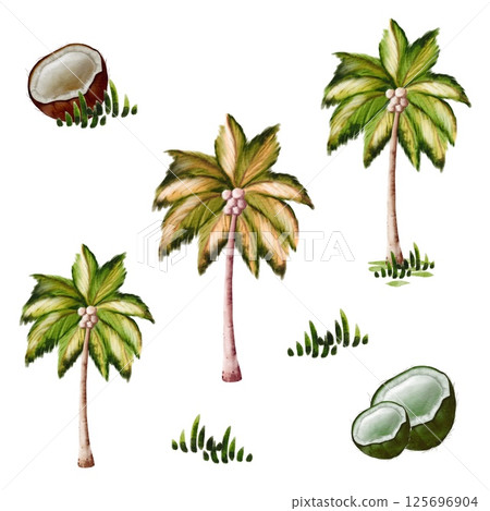 Tropical palm trees and coconuts in a natural landscape Tropical palm trees and coconuts in a natural landscape 125696904