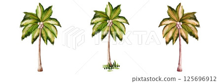 Three illustrative palm trees showcasing different growth stages in a tropical setting 125696912