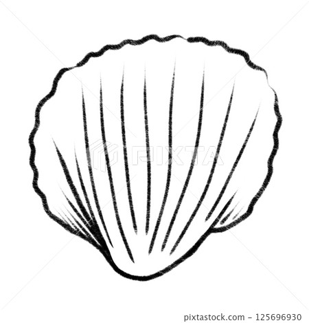 Detailed sketch of a scallop shell showcasing texture and natural design Detailed sketch of a scallop shell showcasing texture and natural design 125696930
