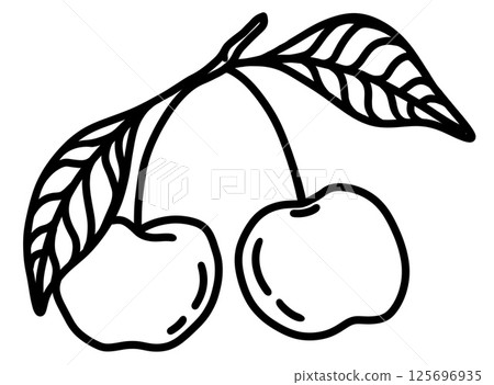 Two ripe cherries hanging from a branch with green leaves in a simple illustration Two ripe cherries hanging from a branch with green leaves in a simple illustration 125696935