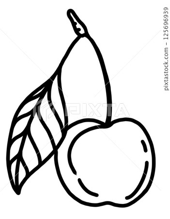 Cherry with leaf illustration showcasing natural beauty and simplicity 125696939