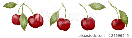 Fresh cherries hanging from branches with vibrant green leaves at a summer orchard 125696943