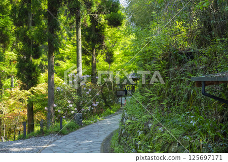 白川水源白川吉見神社入口 125697171