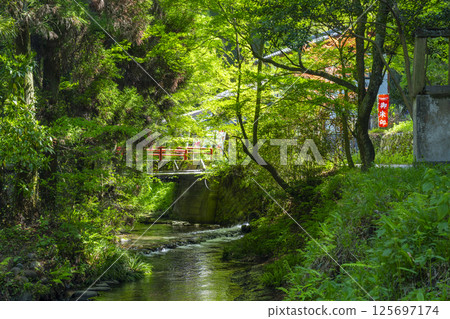 白川水源白川吉見神社入口 125697174