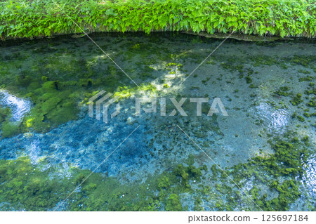 Shirakawa Spring: Clear spring water Shirakawa Spring: Clear spring water 125697184