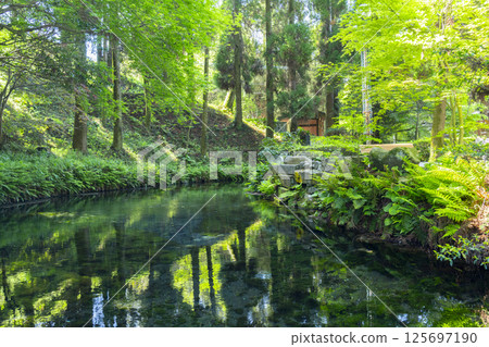 Shirakawa Spring: Clear spring water Shirakawa Spring: Clear spring water 125697190