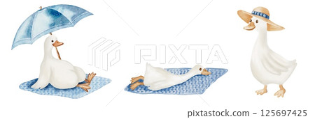 Whimsical watercolor design featuring geese enjoying a summer day 125697425