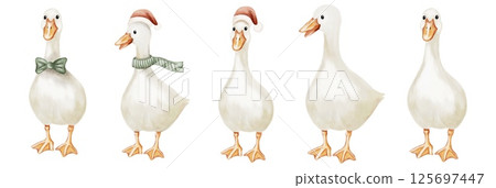 Geese in festive attire with scarf and hats for cheerful textile design Geese in festive attire with scarf and hats for cheerful textile design 125697447
