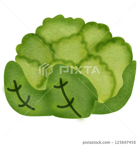 vegetable vegetable 125697458