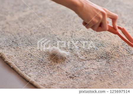 Cleaning Carpet Fibers Effective Techniques for Home Care to Maintain a Fresh Look and Feel Cleaning Carpet Fibers Effective Techniques for Home Care to Maintain a Fresh Look and Feel 125697514